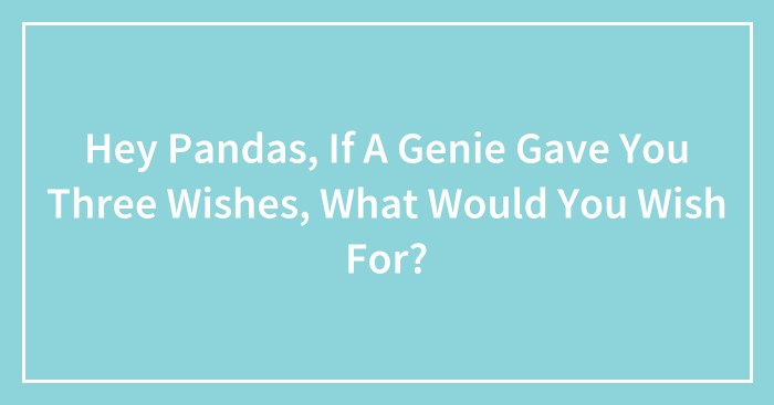 Hey Pandas, If A Genie Gave You Three Wishes, What Would You Wish For? (Closed)