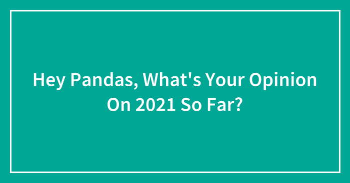 Hey Pandas, What’s Your Opinion On 2021 So Far? (Closed)