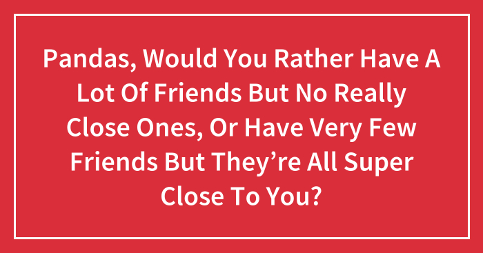 Pandas, Would You Rather Have A Lot Of Friends But No Really Close Ones, Or Have Very Few Friends But They’re All Super Close To You? (Closed)