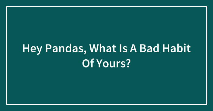 Hey Pandas, What Is A Bad Habit Of Yours? (Closed)