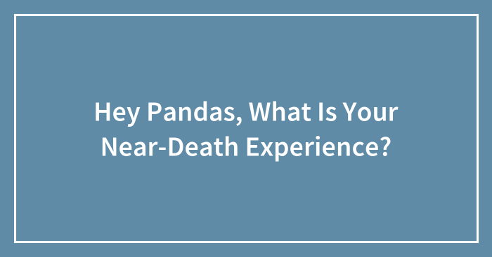 Hey Pandas, What Is Your Near-Death Experience? (Closed)