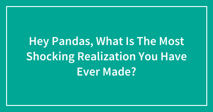 Hey Pandas, What Is The Most Shocking Realization You Have Ever Made? (Closed)