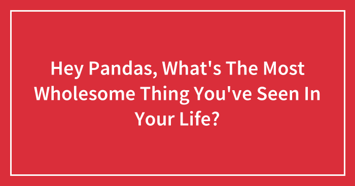 Hey Pandas, What’s The Most Wholesome Thing You’ve Seen In Your Life? (Closed)