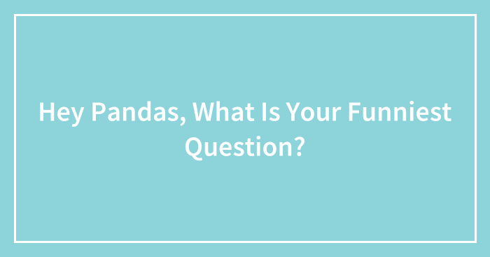 Hey Pandas, What Is Your Funniest Question? (Closed)