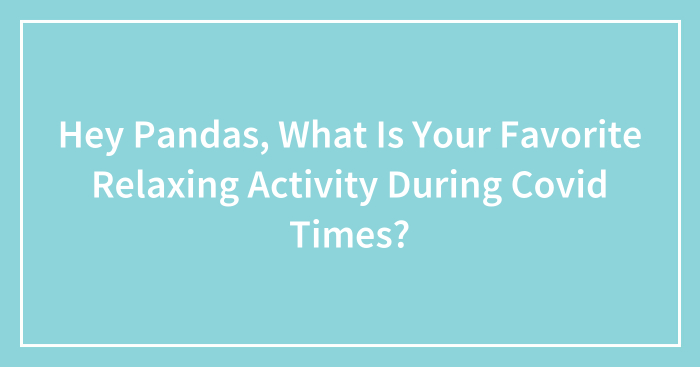 Hey Pandas, What Is Your Favorite Relaxing Activity During Covid Times? (Closed)