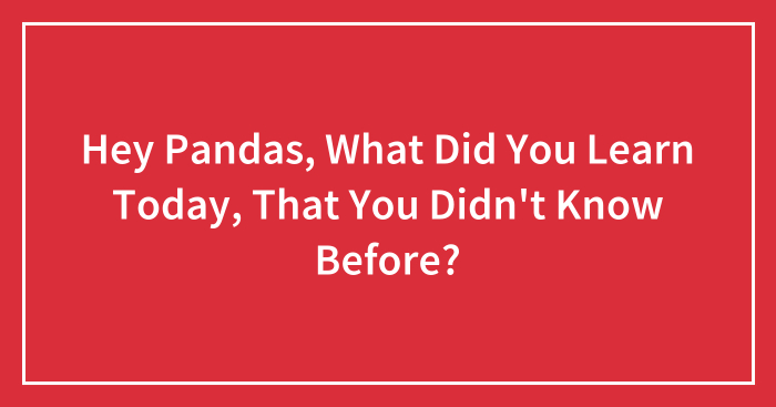 Hey Pandas, What Did You Learn Today, That You Didn’t Know Before? (Closed)