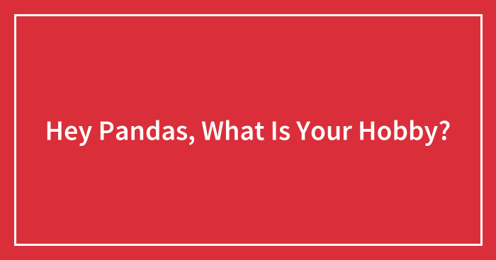 Hey Pandas, What Is Your Hobby? (Closed)
