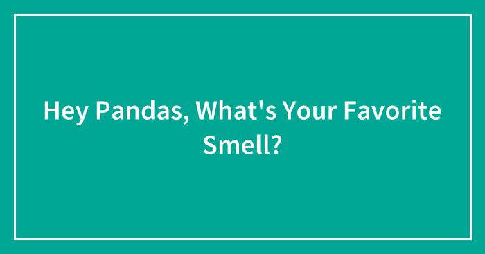 Hey Pandas, What’s Your Favorite Smell? (Closed)