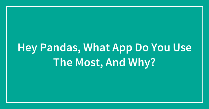 Hey Pandas, What App Do You Use The Most, And Why? (Closed)