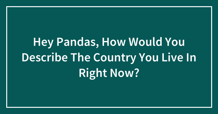 Hey Pandas, How Would You Describe The Country You Live In Right Now? (Closed)