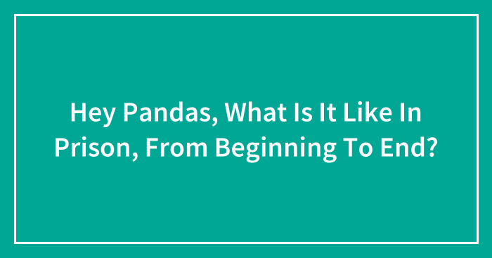 Hey Pandas, What Is It Like In Prison, From Beginning To End? (Closed)
