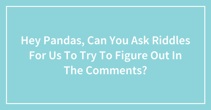 Hey Pandas, Can You Ask Riddles For Us To Try To Figure Out In The Comments? (Closed)
