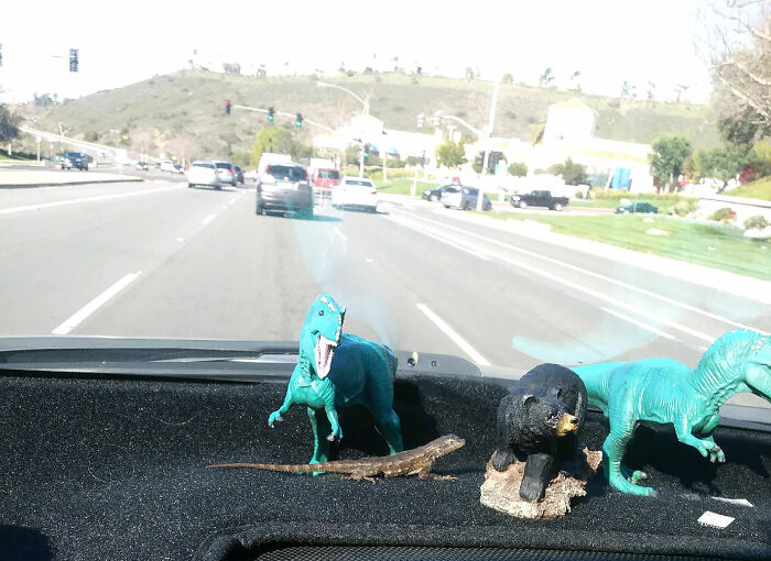 De camino al trabajo hoy he mirado mi salpicadero con mis dinosaurios de juguete y he pensado que no recuerdo haber comprado un lagarto