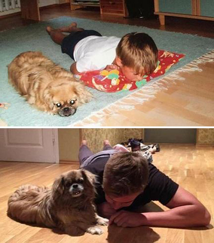 Me And My Dog, 2002 And 2016