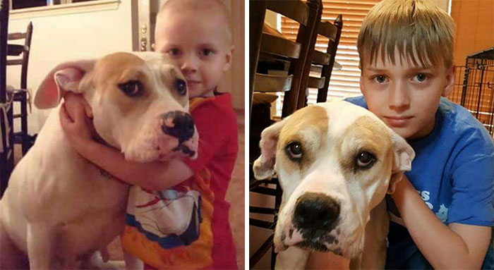My Baby Brother And The Family Dog, 10ish Years Apart