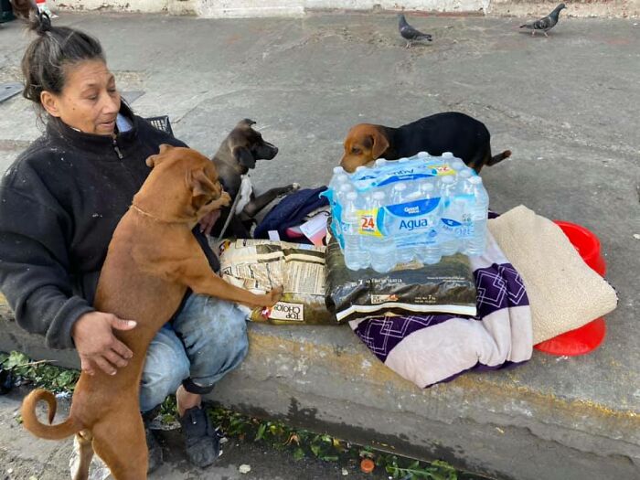 Homeless Woman Found In A Garbage Bag On The Street With 6 Dogs Refuses To Go To A Shelter Because They Don't Allow Pets