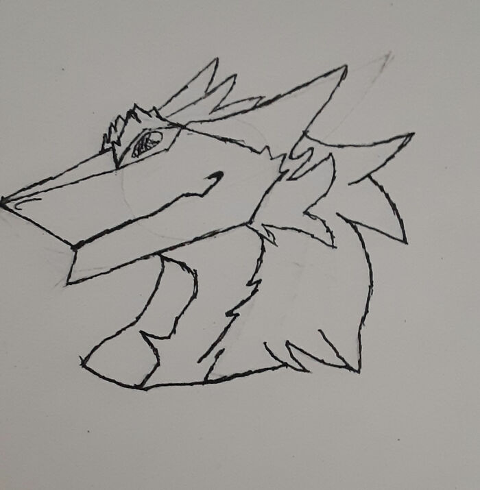 Practicing On Drawing Sergals