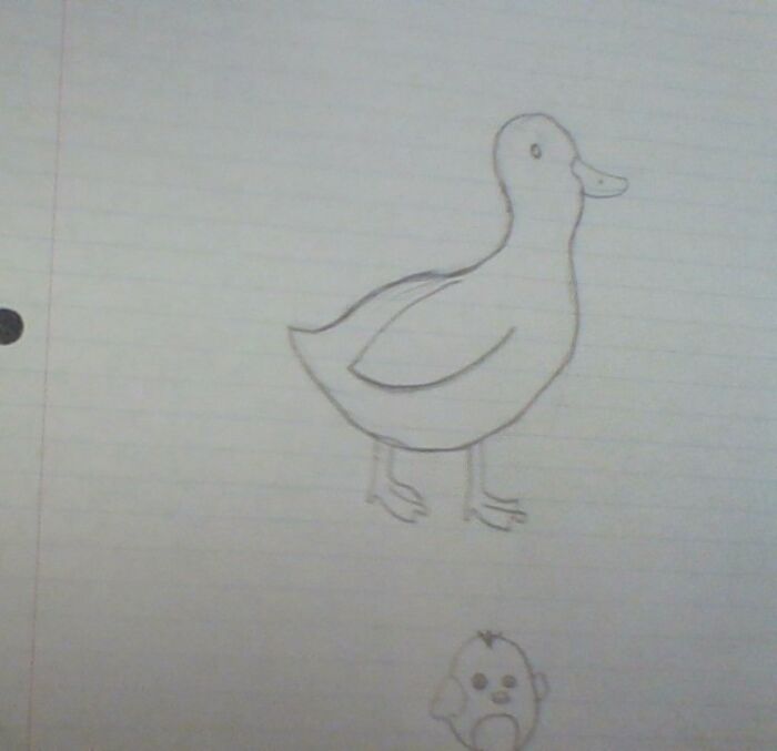 Two Weird Ducks
