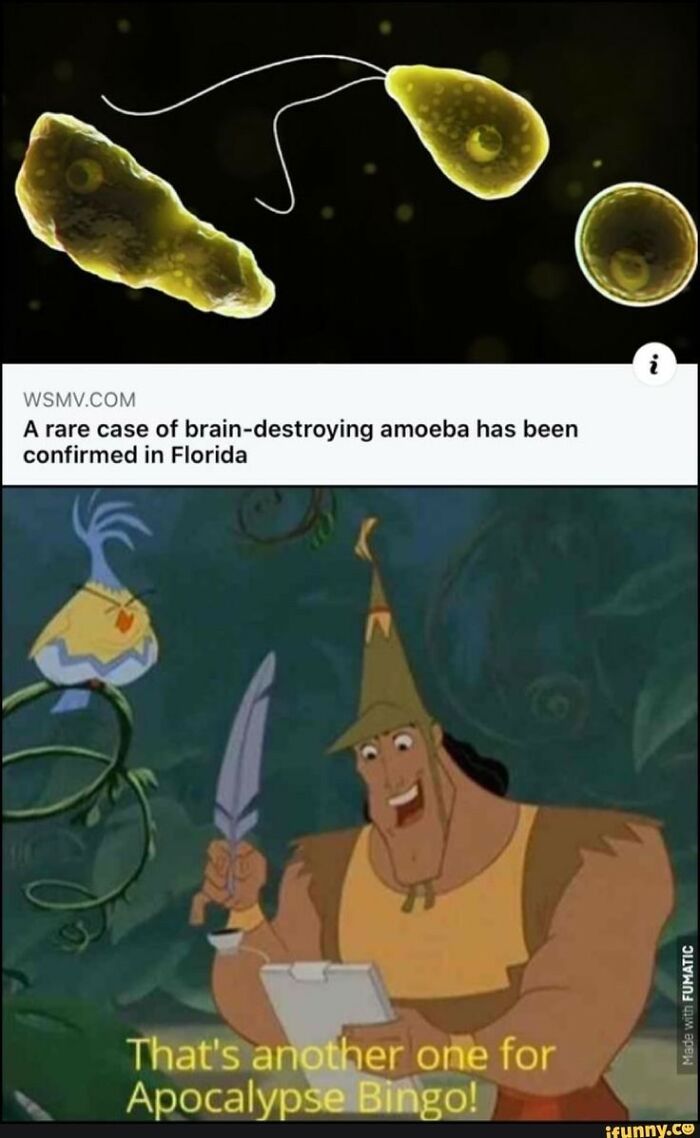 To Be Fair, It's Florida