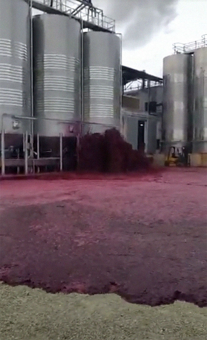 50.000 litros de vino derramados en las Bodegas Vitivinos, en España