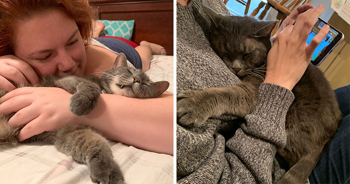 This Feral Cat Decided She Wanted To Live With Humans, So She Invited Herself Inside And Never Left