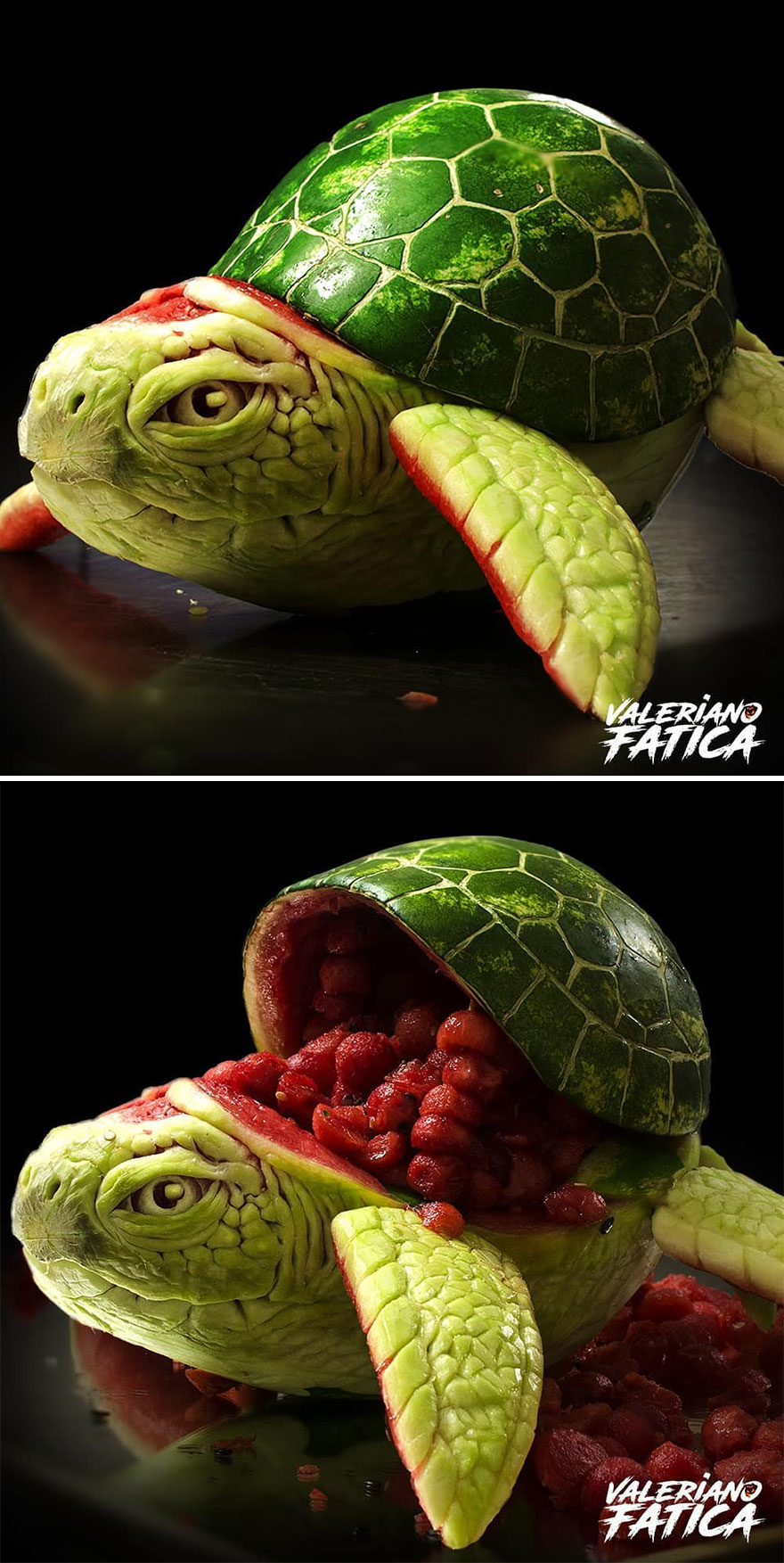 Turtle – Watermelon