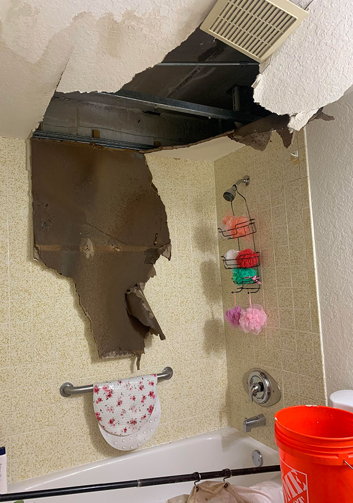 We Left 7 Months Ago. Came Back To This. Upstairs Neighbor Had A Leak And Never Fixed It