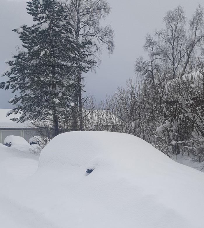 This Is My Car. I Live In Northern Norway