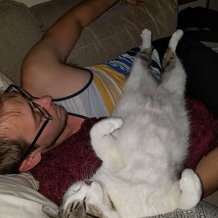  I'm Very Jealous Of My Boyfriend And Cat's Relationship. But Hey At Least Everyone Is Comfortable