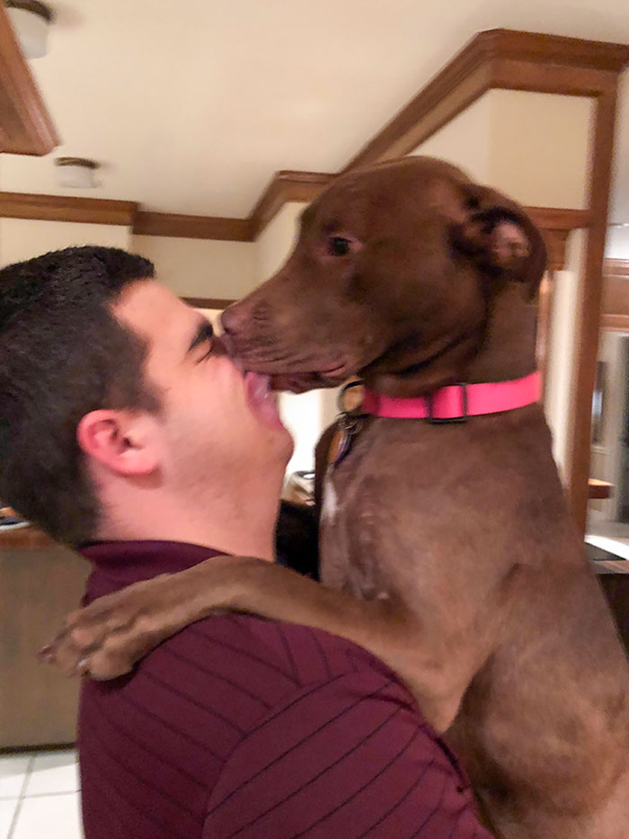 My Boyfriend Is Cheating On Me With My Dog