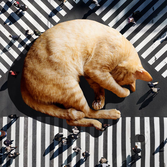 This Artist Uses Photoshop To Create Surreal Giant Cat Landscapes, Here Are His Best 30 Edits