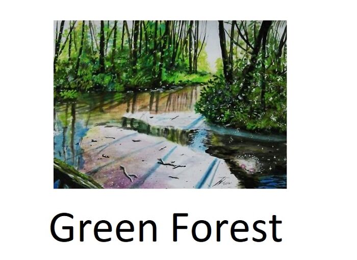 I Did This : Green Forest