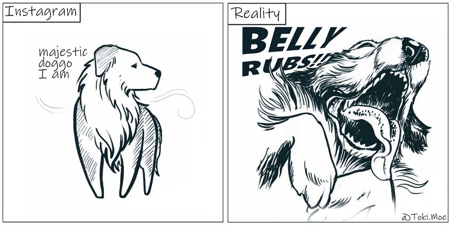 Relatable Comics That Sum Up The Simple Beauty Of Living With Our Pets!