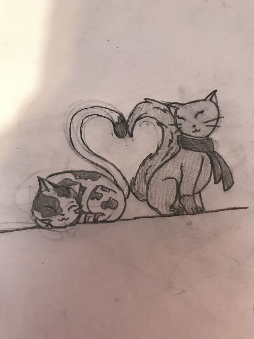 Two Cats In Love