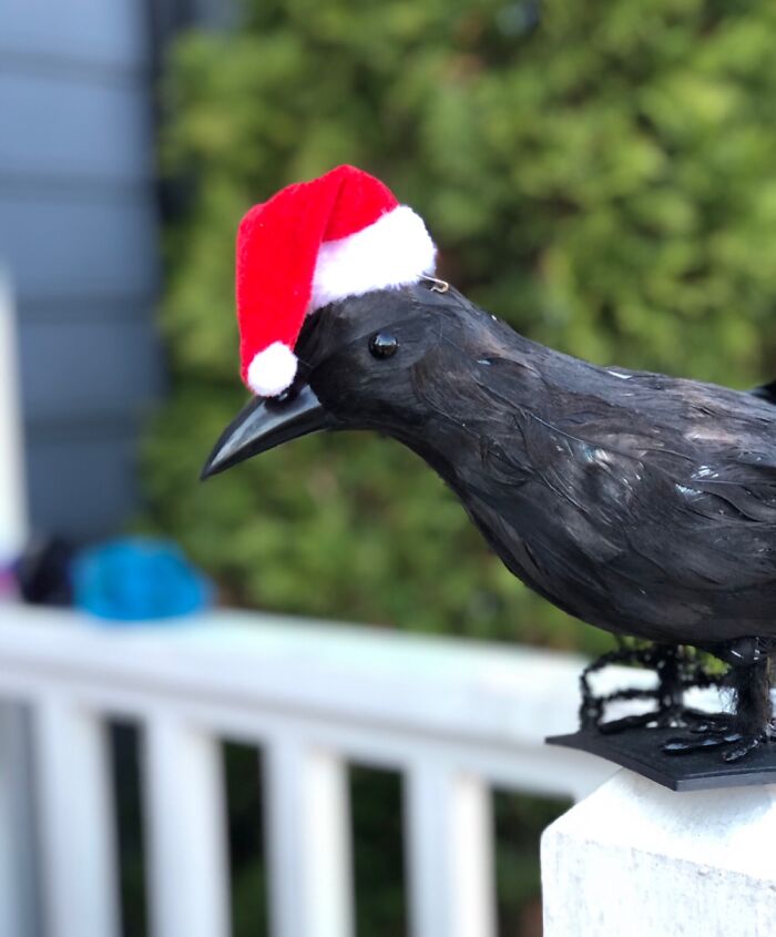 This Is My Porch Raven, Poe. He Gets Decorated With Different Outfits Throughout The Year.