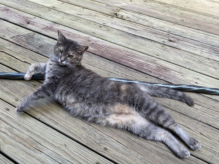 Just Chillin’ Out On The Garden Hose.
