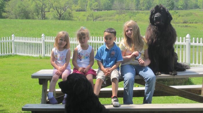 My Grandkids With Two Of Our Newfoundland’s!