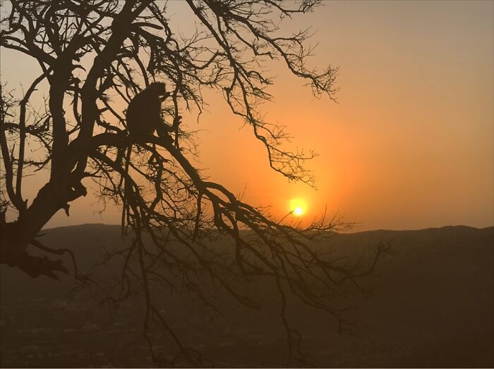 Sunrise When I Was Travelling In Pushkar, India