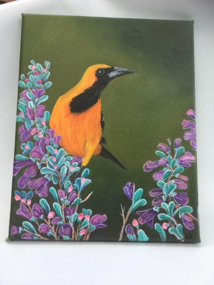 Hooded Oriole On A Blooming Sage Bush In Oils On Canvas