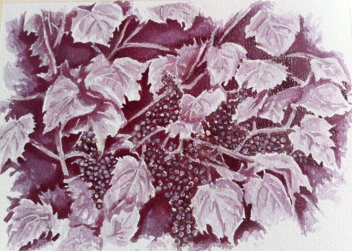 Grape Vine Painted With Red Wine