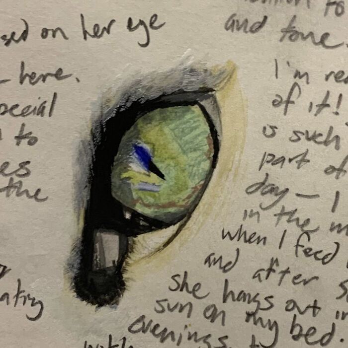 Painted My Cat's Eye For Homework