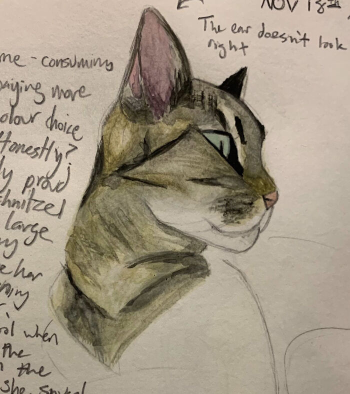 I Painted My Cat For Homework