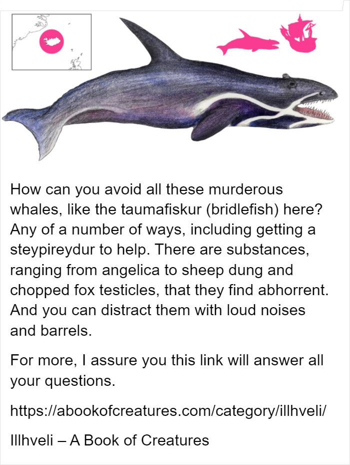 10 Mythical Whales Icelandic Folklore Wants You To Avoid Calling By Their Name