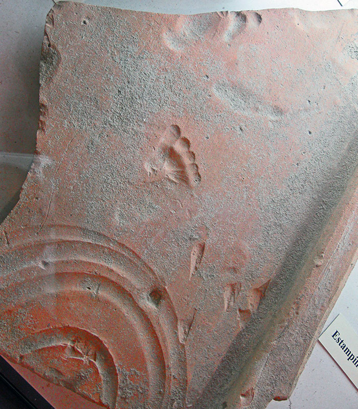 Oman Clay Tile With Footprint Left By A Toddler As It Dried 2000 Years Ago, Vaison-La-Romaine (Ancient Vasio Vocontiorum)