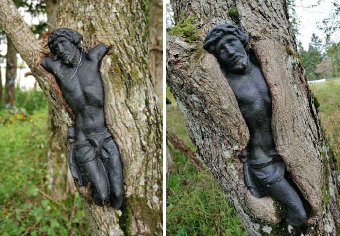 This Sculpture Of Jesus At Abandoned Cemetery In Poland Gets Slowly Absorbed By A Tree. Pictures Taken 12 Years In Between