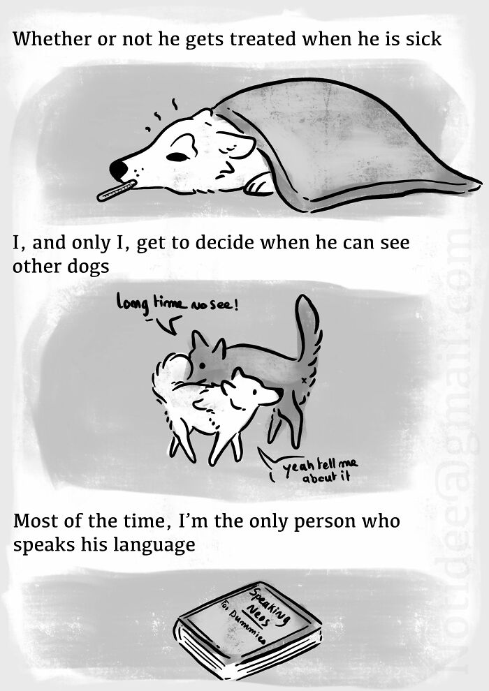 Dog Owner Creates A Comic About How Wrong The 'It's Just A Dog' Attitude Is