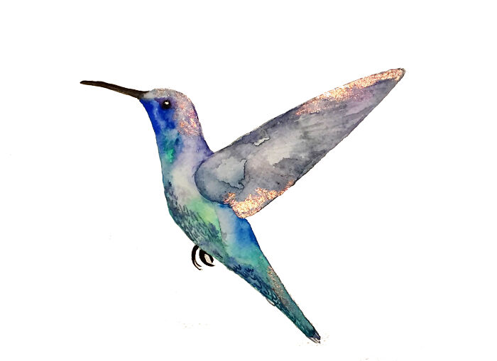 Hummingbird Watercolor Sketch