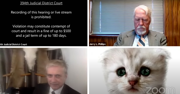 “I Believe You Have A Filter Turned On”: Attorney Accidentally Shows Up With A Cat Filter On For A Zoom Court Hearing