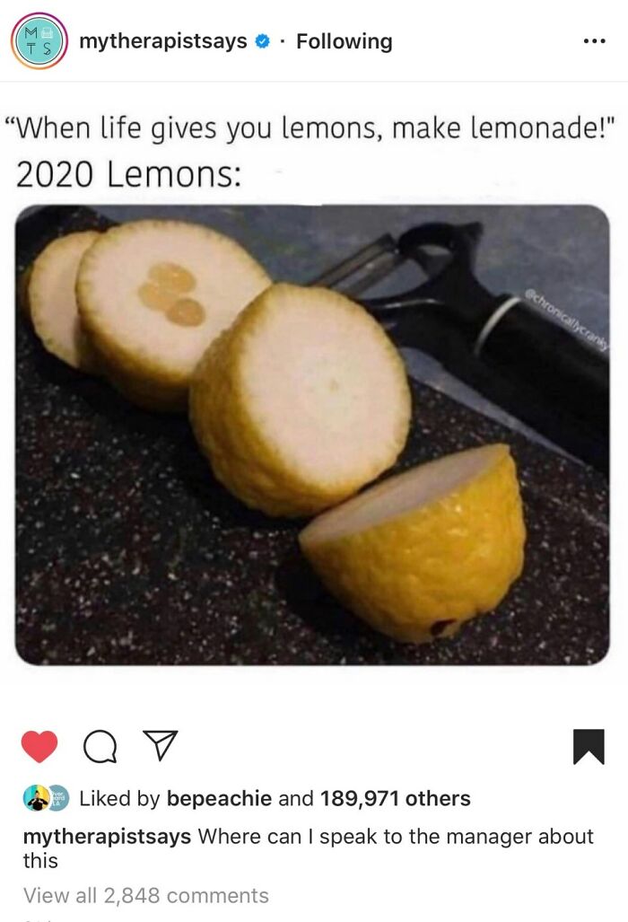 When Life Gives You Lemons...
