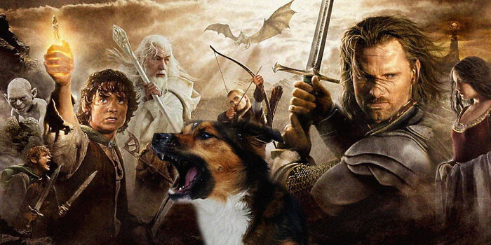 Lord Of The Dogs